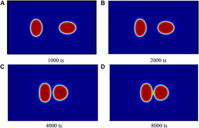 Interface Properties in Binary Fluid Using Lattice Boltzmann Method